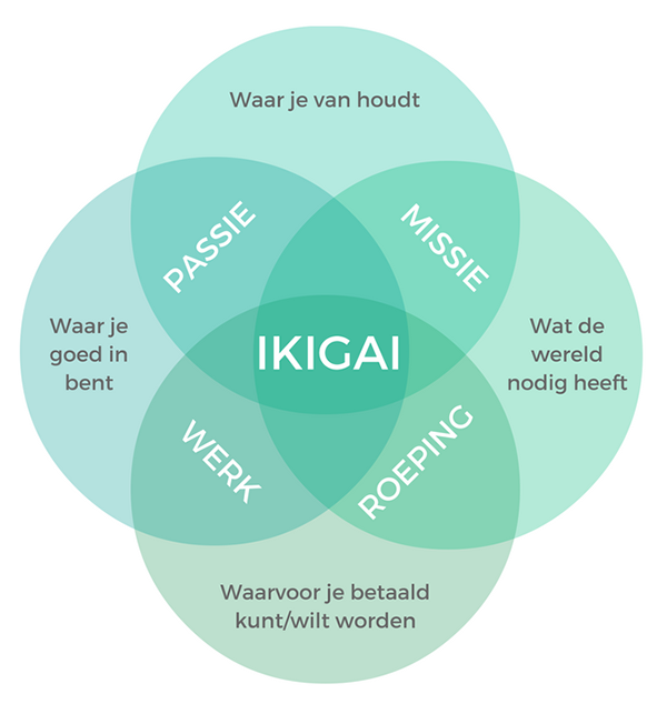 Opleiding Loopbaancoach Loopbaanbegeleider, vdab loopbaancheques